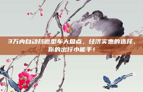 3万内自动挡微型车大盘点,经济实惠的选择,你的出行小能手!