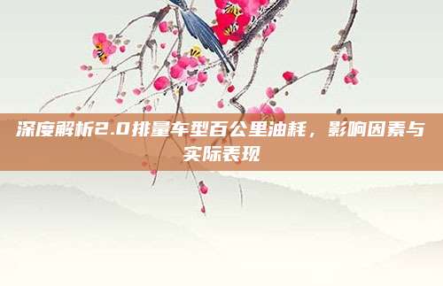 深度解析2.0排量车型百公里油耗,影响因素与实际表现