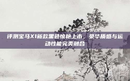 评测宝马X1新款黑色惊艳上市,豪华质感与运动性能完美融合