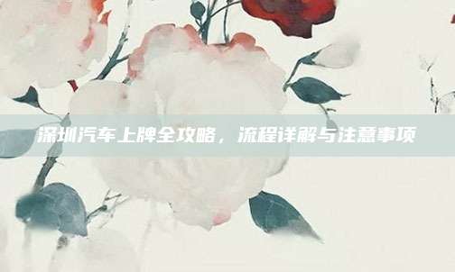 深圳汽车上牌全攻略,流程详解与注意事项