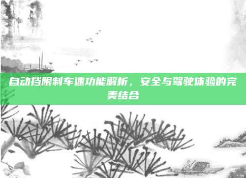 自动挡限制车速功能解析,安全与驾驶体验的完美结合