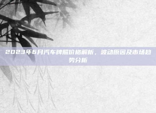 2023年6月汽车牌照价格解析,波动原因及市场趋势分析