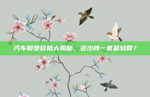 汽车脚垫价格大揭秘,多少钱一套最划算?