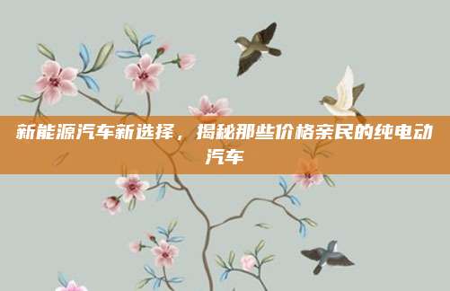 新能源汽车新选择,揭秘那些价格亲民的纯电动汽车