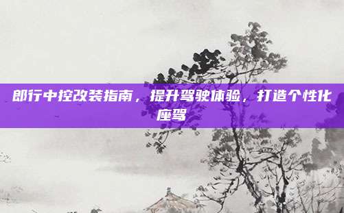 郎行中控改装指南,提升驾驶体验,打造个性化座驾