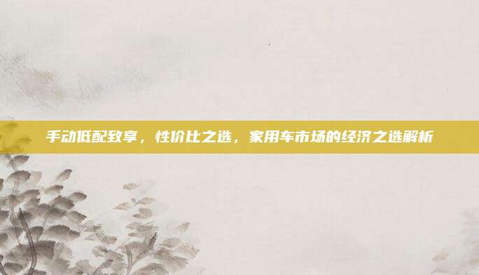 手动低配致享，性价比之选，家用车市场的经济之选解析