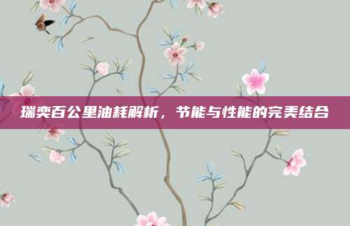 瑞奕百公里油耗解析,节能与性能的完美结合