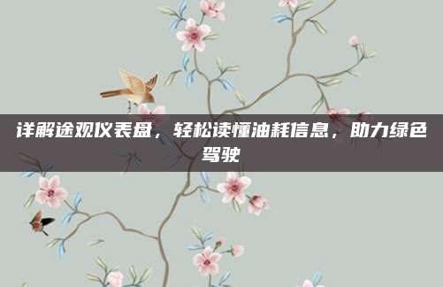 详解途观仪表盘,轻松读懂油耗信息,助力绿色驾驶