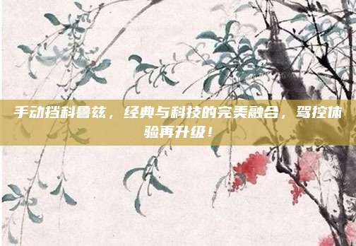 手动挡科鲁兹，经典与科技的完美融合，驾控体验再升级！
