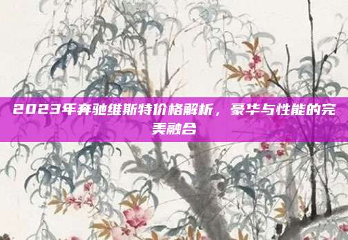 2023年奔驰维斯特价格解析,豪华与性能的完美融合