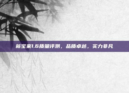 新宝来1.6质量评测，品质卓越，实力非凡