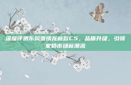 深度评测东风雪铁龙新款C5,品质升级,引领家轿市场新潮流