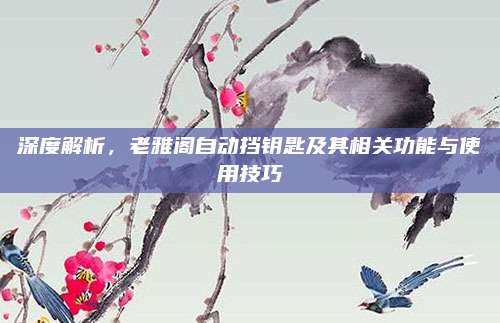 深度解析,老雅阁自动挡钥匙及其相关功能与使用技巧