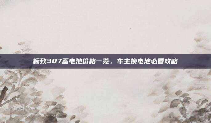 标致307蓄电池价格一览,车主换电池必看攻略