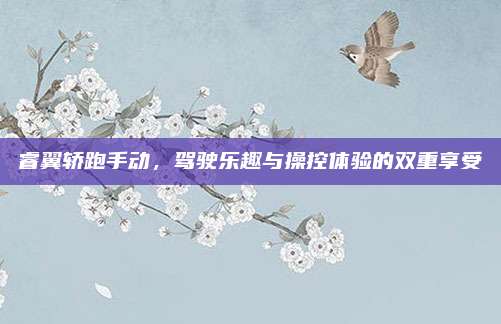睿翼轿跑手动,驾驶乐趣与操控体验的双重享受