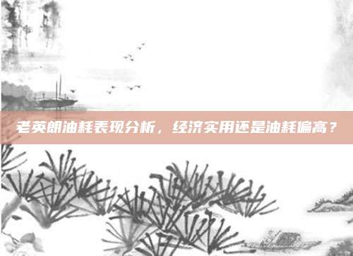 老英朗油耗表现分析，经济实用还是油耗偏高？