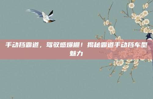 手动挡霸道，驾驭感爆棚！揭秘霸道手动挡车型魅力