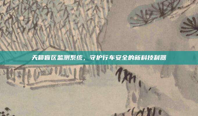 天籁盲区监测系统，守护行车安全的新科技利器