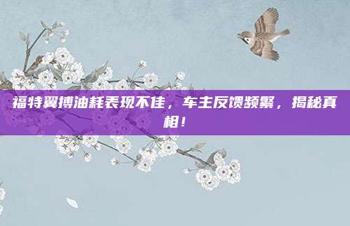 福特翼搏油耗表现不佳,车主反馈频繁,揭秘真相!