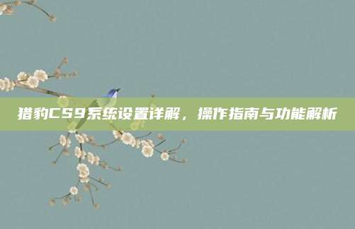猎豹CS9系统设置详解,操作指南与功能解析