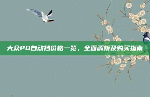 大众PO自动挡价格一览,全面解析及购买指南