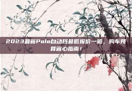 2023最新Polo自动挡最低报价一览,购车预算省心指南!