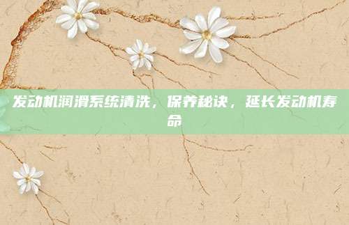 发动机润滑系统清洗,保养秘诀,延长发动机寿命