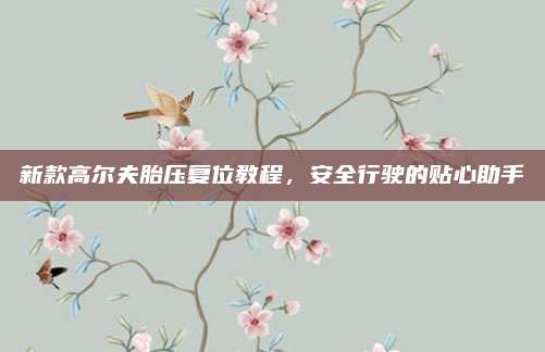 新款高尔夫胎压复位教程,安全行驶的贴心助手