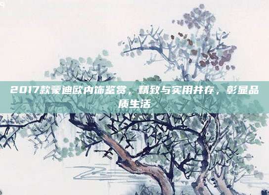 2017款蒙迪欧内饰鉴赏,精致与实用并存,彰显品质生活