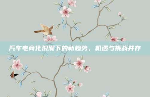 汽车电商化浪潮下的新趋势，机遇与挑战并存