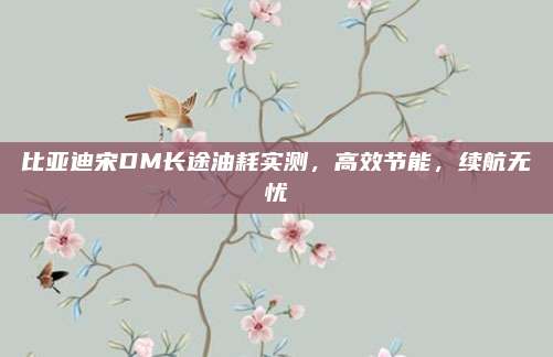 比亚迪宋DM长途油耗实测,高效节能,续航无忧