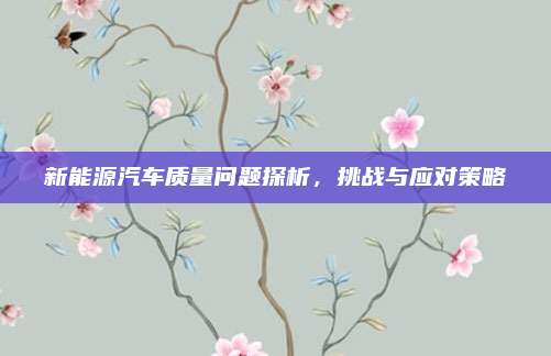 新能源汽车质量问题探析,挑战与应对策略