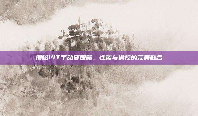 揭秘14T手动变速器,性能与操控的完美融合