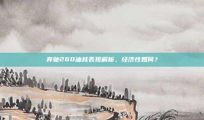 奔驰260油耗表现解析,经济性如何?