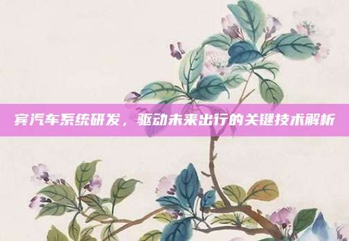 宾汽车系统研发,驱动未来出行的关键技术解析