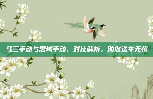 马三手动与思域手动,对比解析,助您选车无忧
