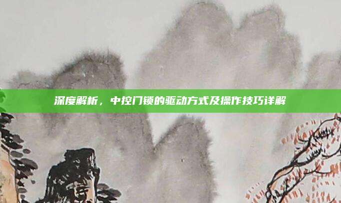 深度解析,中控门锁的驱动方式及操作技巧详解