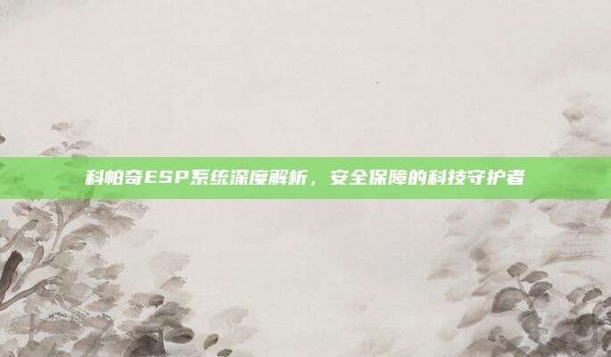 科帕奇ESP系统深度解析,安全保障的科技守护者