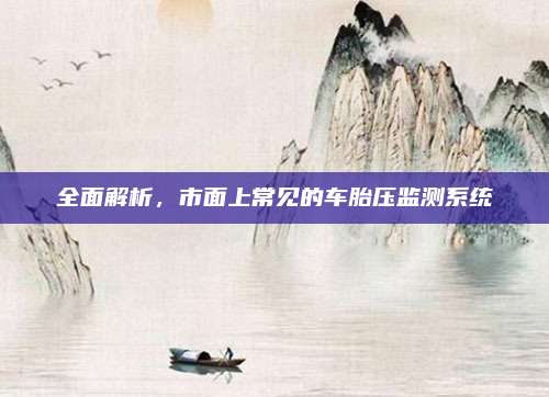 全面解析,市面上常见的车胎压监测系统