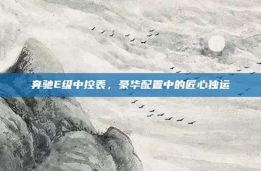 奔驰E级中控表,豪华配置中的匠心独运