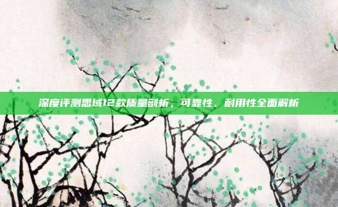 深度评测思域12款质量剖析,可靠性、耐用性全面解析