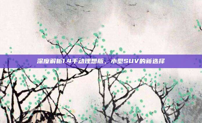 深度解析1.4手动理想版,小型SUV的新选择