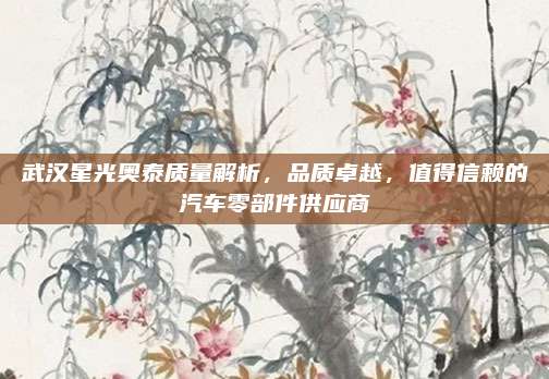 武汉星光奥泰质量解析,品质卓越,值得信赖的汽车零部件供应商