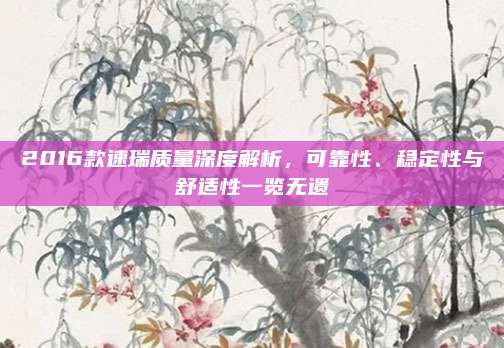2016款速瑞质量深度解析,可靠性、稳定性与舒适性一览无遗