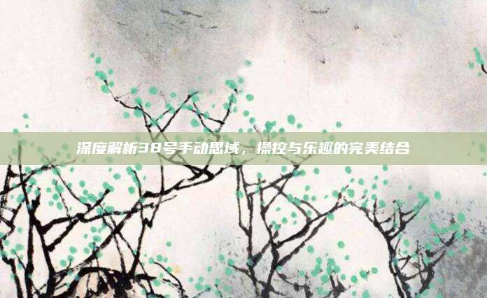深度解析38号手动思域,操控与乐趣的完美结合