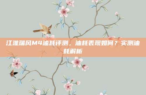 江淮瑞风M4油耗评测，油耗表现如何？实测油耗解析