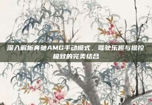 深入解析奔驰AMG手动模式,驾驶乐趣与操控极致的完美结合