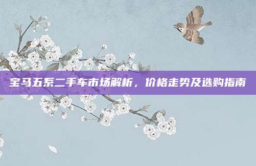 宝马五系二手车市场解析,价格走势及选购指南