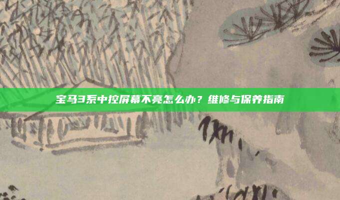 宝马3系中控屏幕不亮怎么办?维修与保养指南