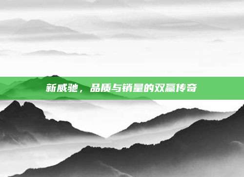 新威驰,品质与销量的双赢传奇